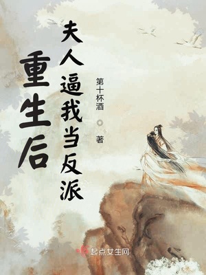 李四的nzbz是什么